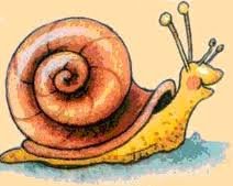 csiga1
